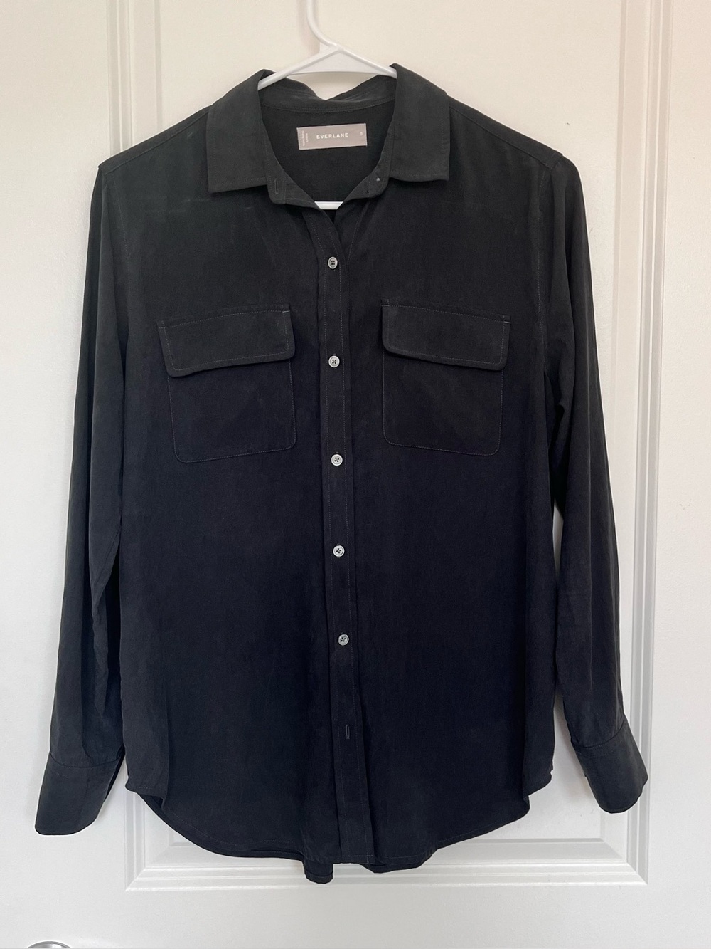 Everlane Washable Silk Shirt